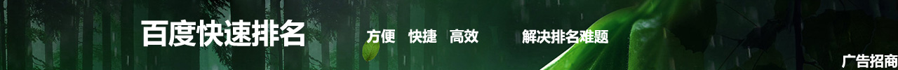 百度快速排名