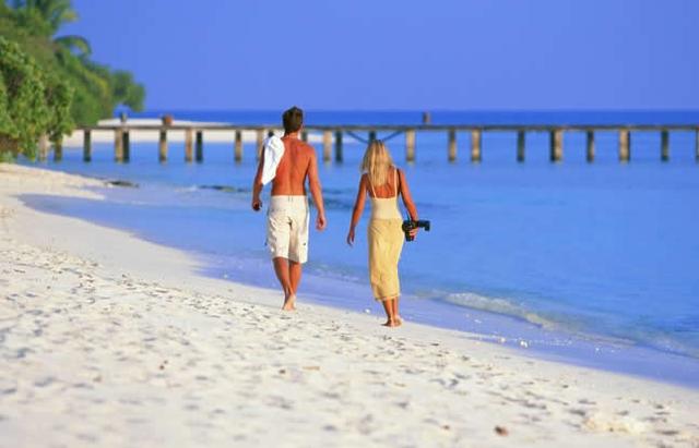 独家揭秘:暴利的黑帽SEO行业