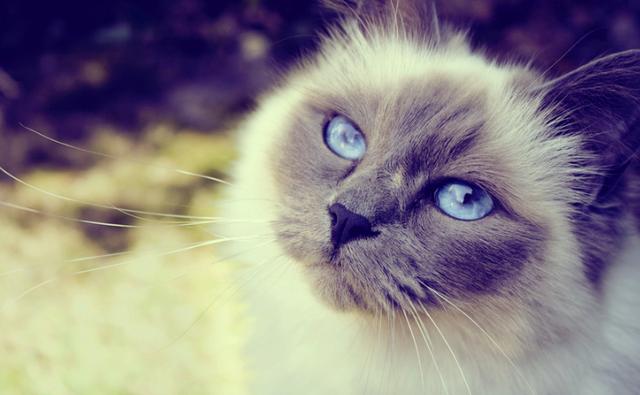 小店员淘客：微信淘宝客实战经验分享