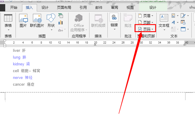 word页码设置 word页码设置