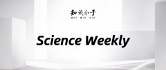 我命由我不由天：乌龟宝宝可以决定自己性别