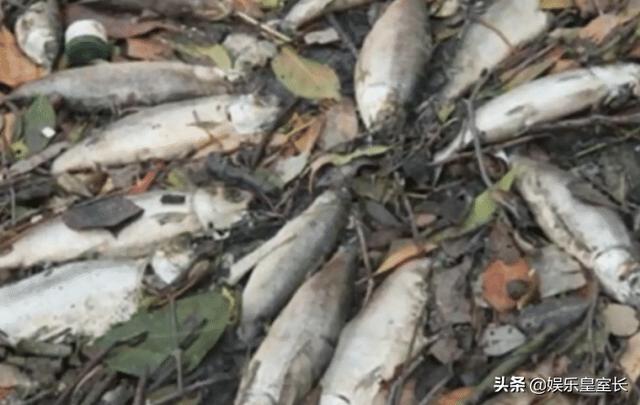 无法用科学解释的世界十大灵异事件,骷髅头事件简直了都