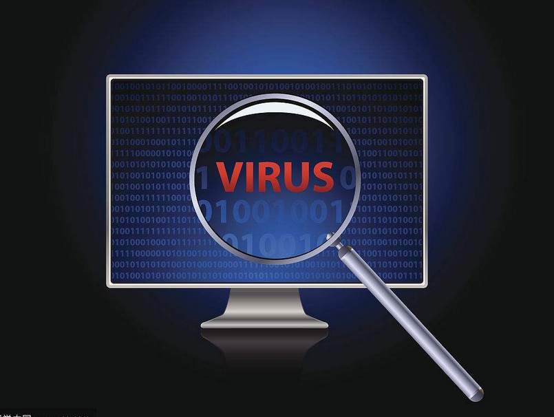 病毒 病毒
