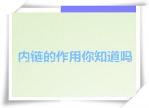 什么是内链?有什么作用?