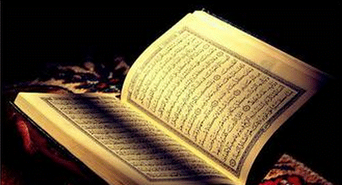 简单实用的网页制作软件你用过几个?