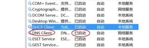 dns服务器未响应怎么办 dns服务器未响应怎么办