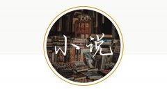 小说赚钱项目新玩法，借抖音营销助你一臂之力