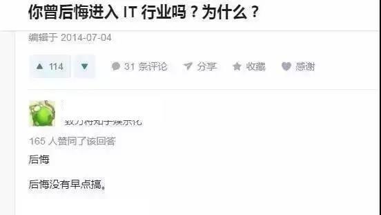 新人程序员,如何看待IT行业现状