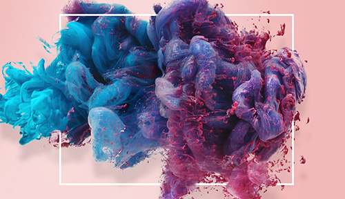 网络营销该怎么进行? 网络营销该怎么进行?