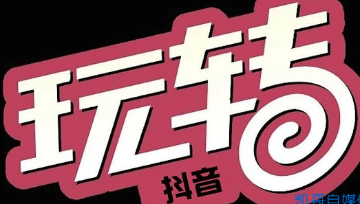 玩转抖音 玩转抖音