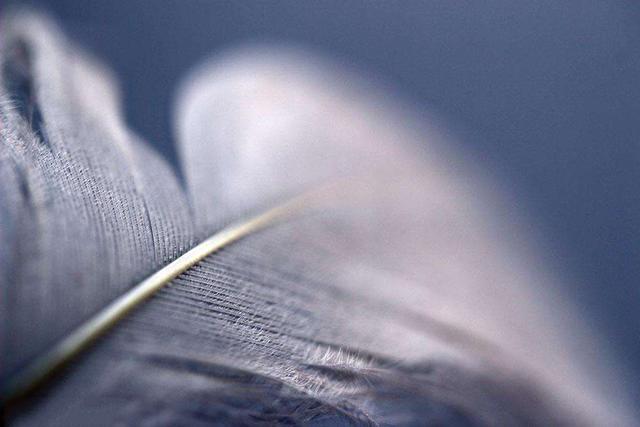 什么是设计？怎么设计？设计是什么？