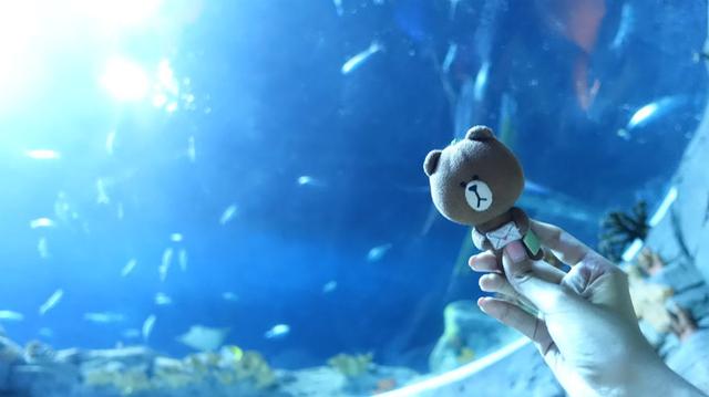 什么是平面设计