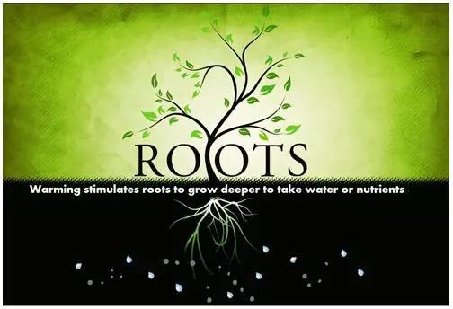 图3 气候变暖使根系向深层生长以获取更多养分或水分（基于网络图片修改）