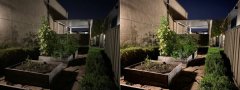 夜晚终于不再睁眼瞎 iPhone 11系列夜间模式拍照详解