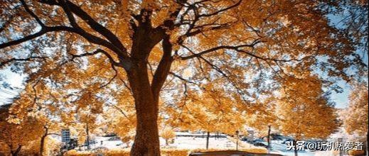 十大PS插件,你知道几个?