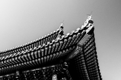 淘宝为什么让你的宝贝排在前面的位置呢？淘宝搜索排名技巧