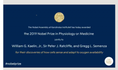 2019诺贝尔生理学或医学奖揭晓：＂细胞氧气感知＂获奖