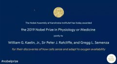 诺贝尔生理学或医学奖“细胞感知氧气通路”摘得桂冠