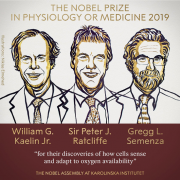 诺贝尔生理学或医学奖揭晓 我们为什么关注诺贝尔奖