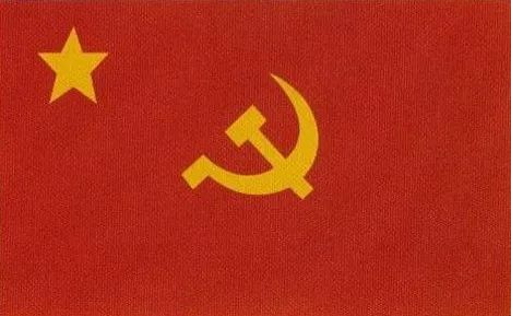 当时,中国共产党实际上是共产国际的一个支部,中华苏维埃共和国也大体