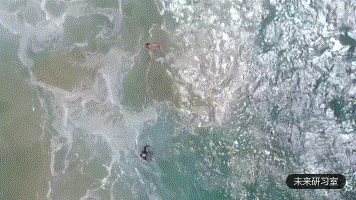 为了盯住神出鬼没的鳄鱼，澳大利亚部署了100架AI无人机