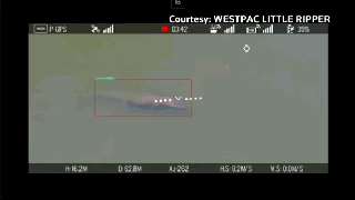 为了盯住神出鬼没的鳄鱼，澳大利亚部署了100架AI无人机