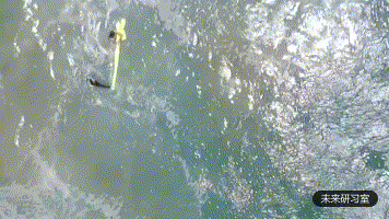 为了盯住神出鬼没的鳄鱼，澳大利亚部署了100架AI无人机