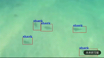 为了盯住神出鬼没的鳄鱼，澳大利亚部署了100架AI无人机