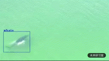 为了盯住神出鬼没的鳄鱼，澳大利亚部署了100架AI无人机