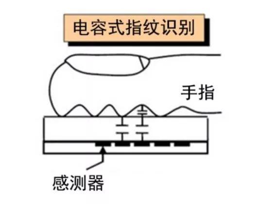 这两款明星手机的指纹支付功能，为什么被支付宝微信紧急叫停