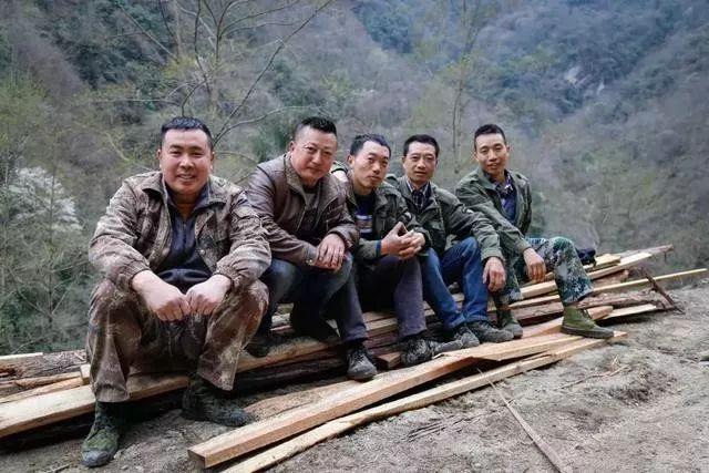 支付宝蚂蚁森林获联合国最高环保荣誉，里面有你的一份功劳