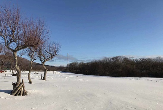 网络舆情负面如何处理?十大网络舆情应对方法! 网络舆情负面如何处理?十大网络舆情应对方法!