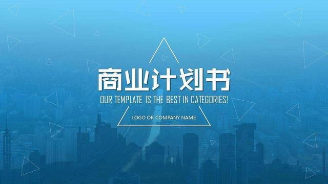 2020年版,商业计划书,(标准完整版)