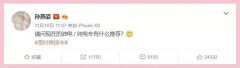 孙燕姿发博求推荐新能源汽车，多家车企老总纷纷亲自上阵推销