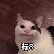 原来iPhone 11真的支持5G？我们都被骗了