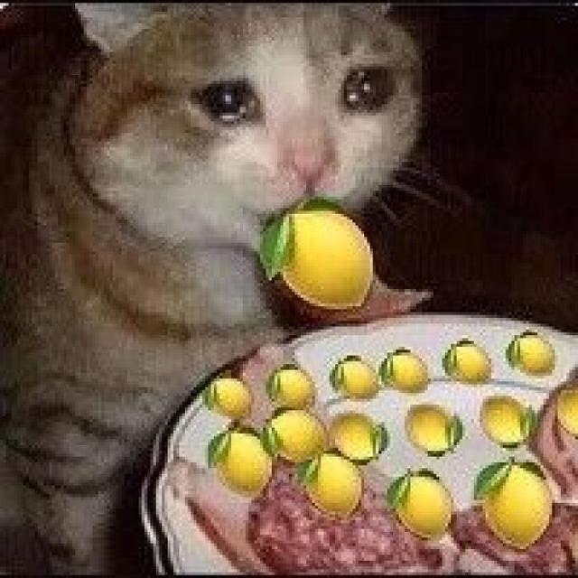 上万网友集体发愁：如何花光2790亿元？都是马云模拟器的惹的祸