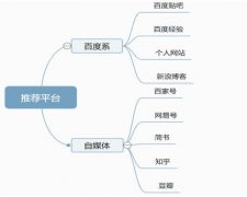 百度霸屏之视频被动引流实操总结
