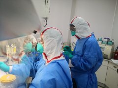 武汉新型肺炎 | 24小时内出检测报告，上海严密检测病毒变异情况