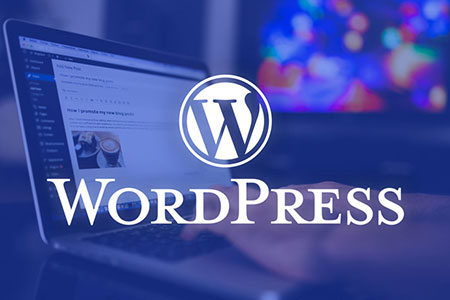 如何查看WordPress网站使用了哪些主题和插件