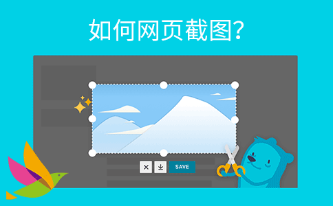 SEO资源:如何网页截图? SEO资源:如何网页截图?