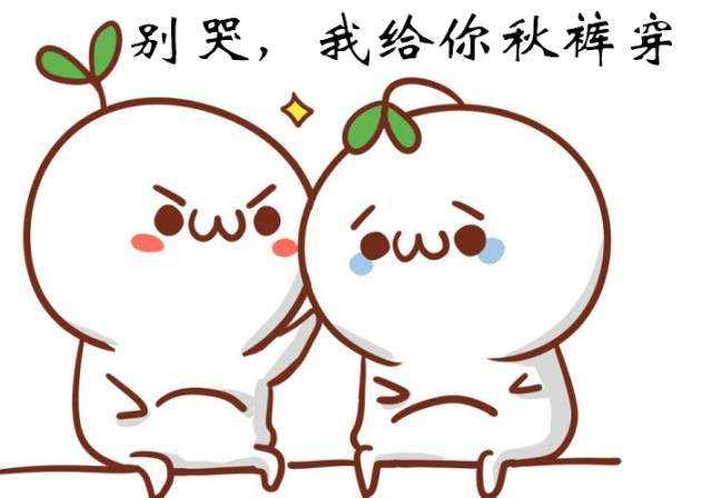 新手开淘宝网店从几个方面下手,快速提升店铺流量和转化