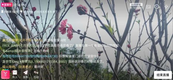 想念就见！超30万人“云游高校”，你在线表白学校了吗？