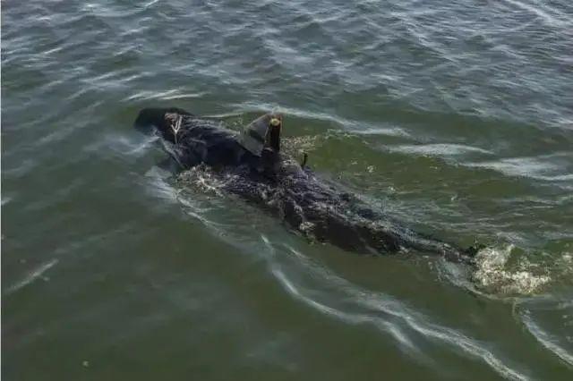 盘点20种最先进的机器人，感觉有点吓人！