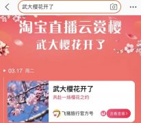 淘宝直播火了：直播人才需求激增背后，这三点原因是否打动你？