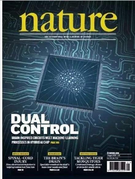 中国AI科学家频频出手！清华第二枚类脑芯片再登《自然》杂志