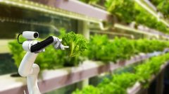 在跨界中发现价值：风投眼中的2020农业科技投资趋势