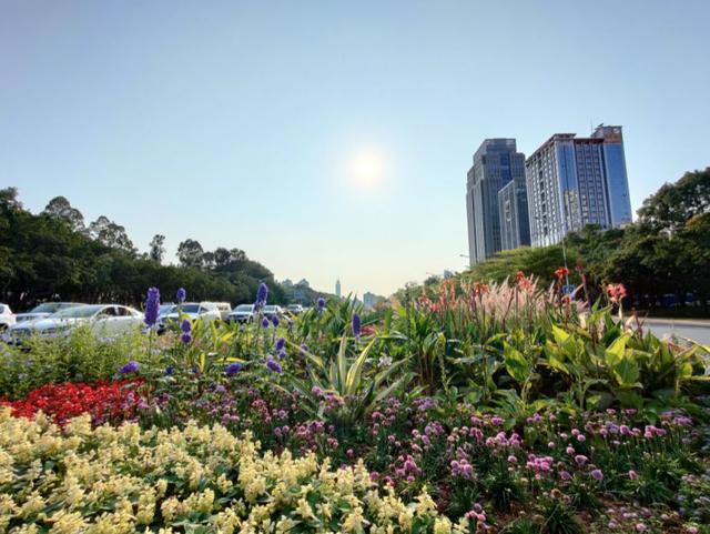 使用OPPO顶级旗舰到底是什么感觉？FindX2 Pro一周体验报告