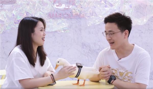兽语十级 华为成功研制“动物语言翻译机”