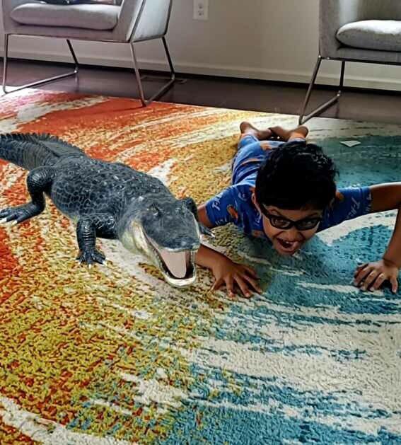 谷歌裸眼3D动物意外蹿红，掀起一股AR体验小高潮