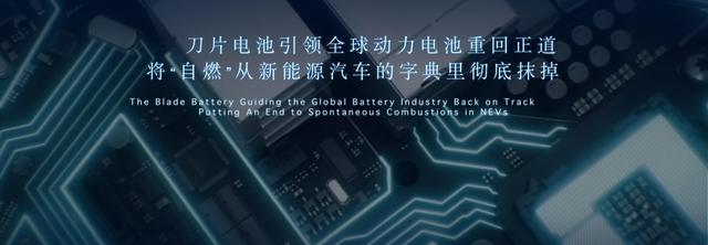 比亚迪，越过“珠峰”背后